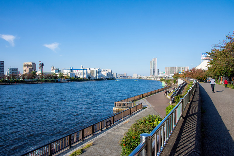 朝の隅田川散歩