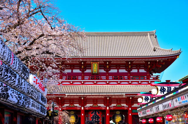 桜が咲く東京・浅草寺の宝蔵門と仲見世通りの風景